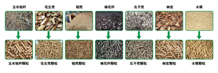 各種顆粒對比